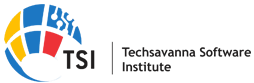 Techsavanna Software Institute